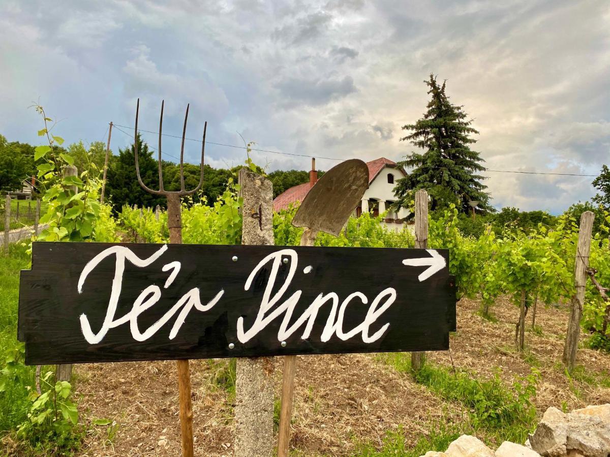 Ter Pince Villa Sumeg Bagian luar foto